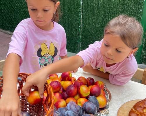 Дівчата зі сливами